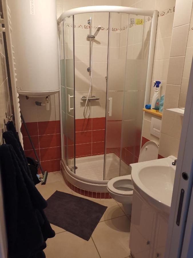Appartement Au Pied Des Pistes Saint-Lary-Soulan Zewnętrze zdjęcie